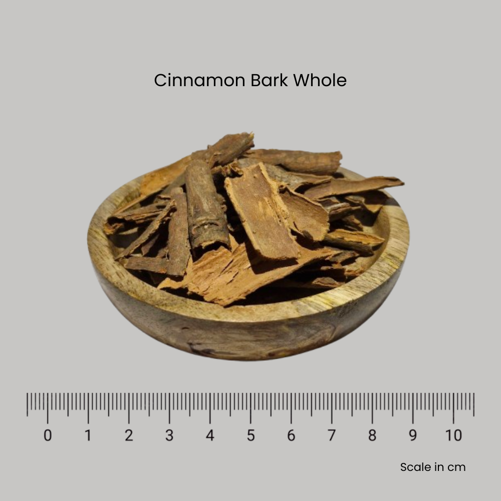 Cinnamon Bark - Cinnamomum cassia