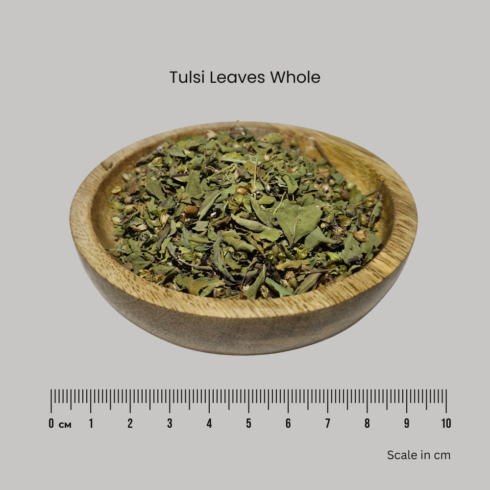Tulsi Leaves (Rama, Krishna) - Ocimum sanctum