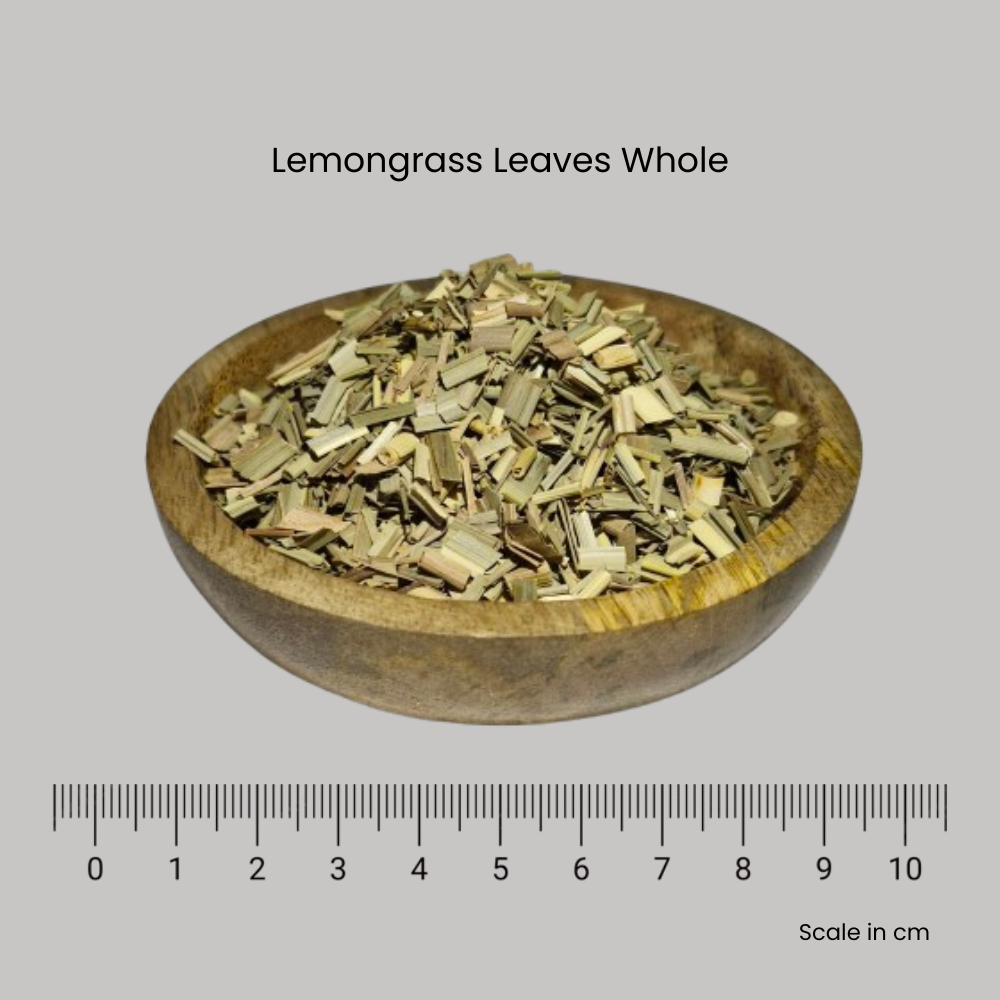 Lemongrass Leaves - Cymbopogon citratus