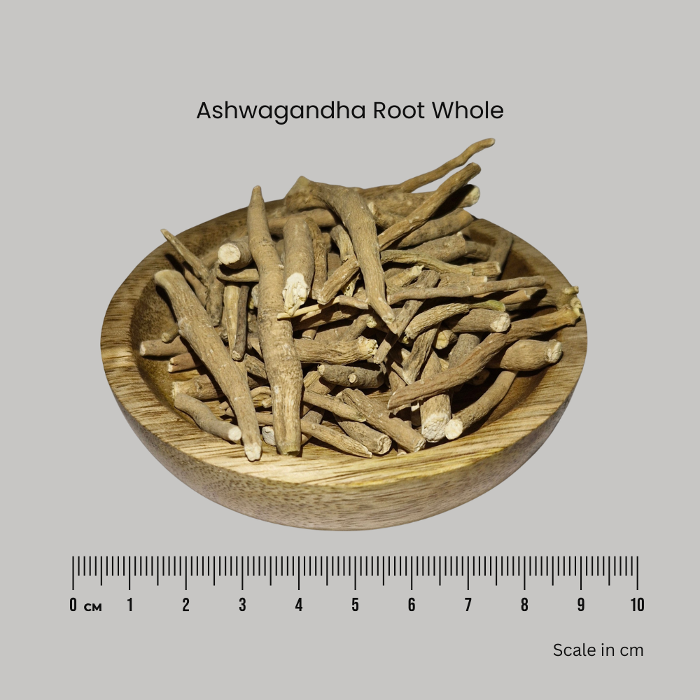 Ashwagandha Root - Withania somnifera