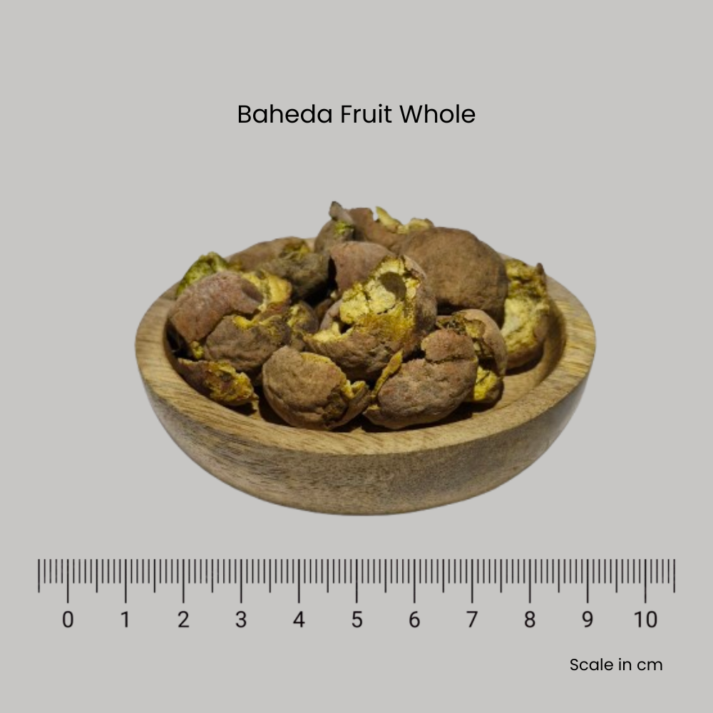 Baheda Fruit - Terminalia bellirica